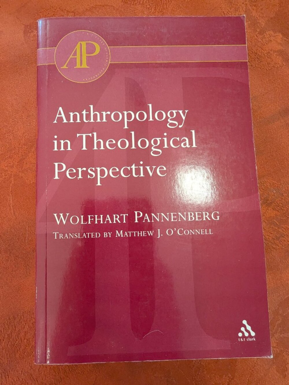 Anthropology in Theological Perspective by Wolfhart Pannenberg
